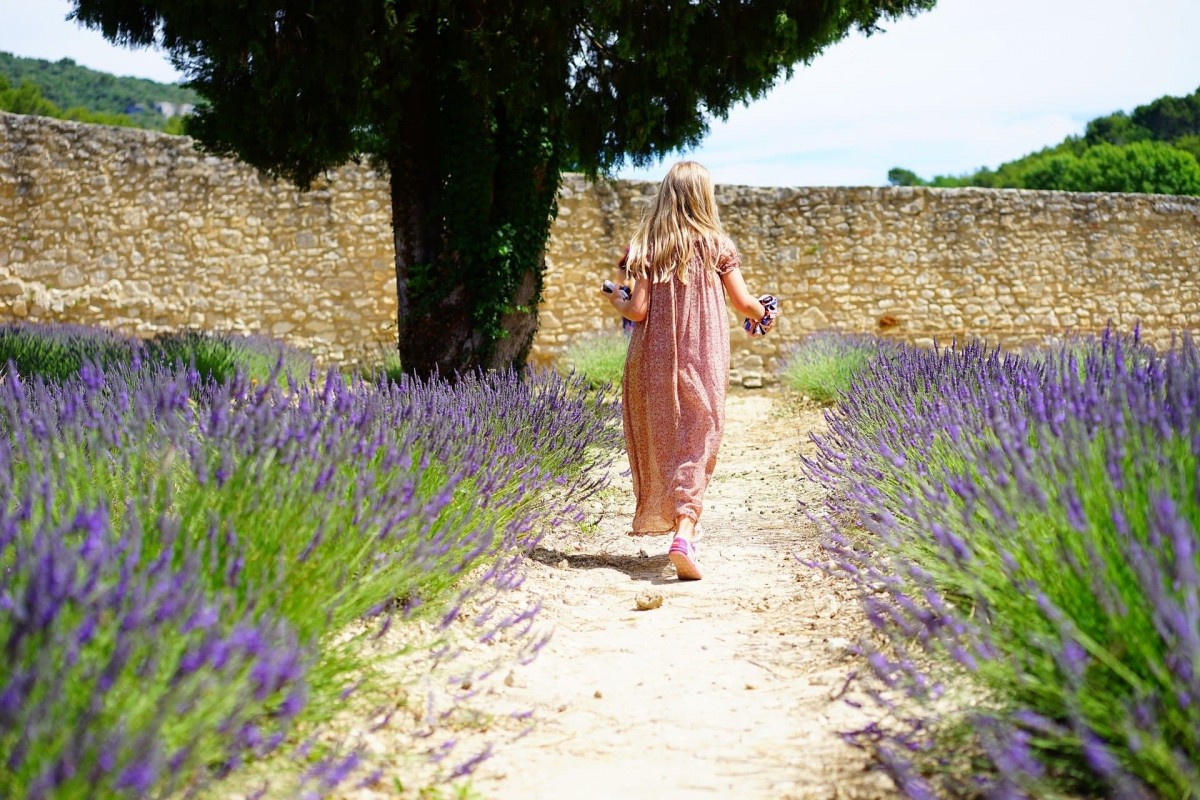 Provence Lavande Joie