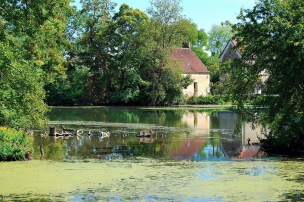image-riviere-couture-sur-loir