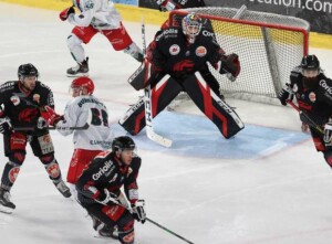 Les Gothiques d'Amiens, hockey sur glace Vivre et vibrer à Amiens : les Gothiques d'Amiens, hockey sur glace