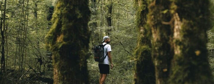 Un homme en randonnée dans le parc national de Forêts en haute-Marne.